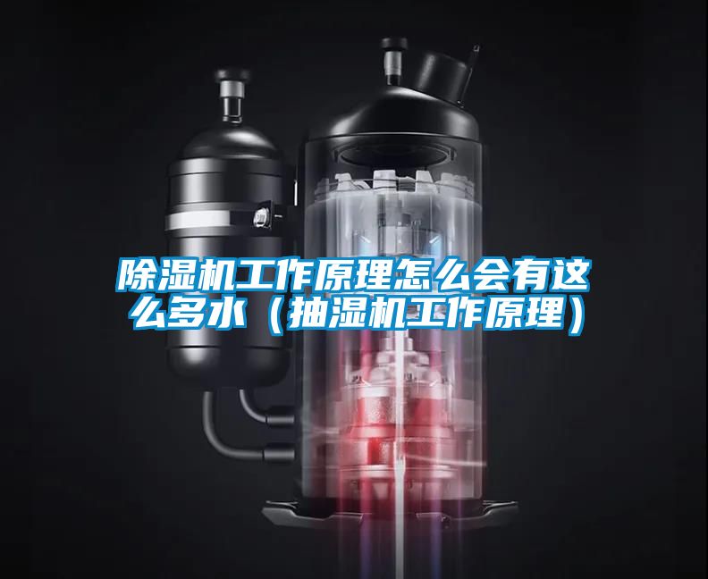 除濕機工作原理怎么會有這么多水(抽濕機工作原理)