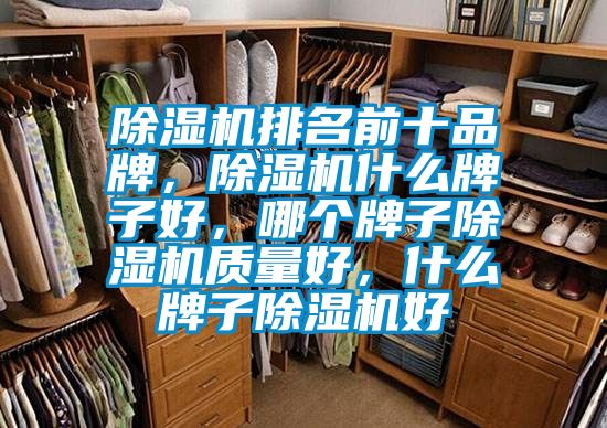 除濕機(jī)排名前十品牌,除濕機(jī)什么牌子好,哪個(gè)牌子除濕機(jī)質(zhì)量好,什么牌子除濕機(jī)好