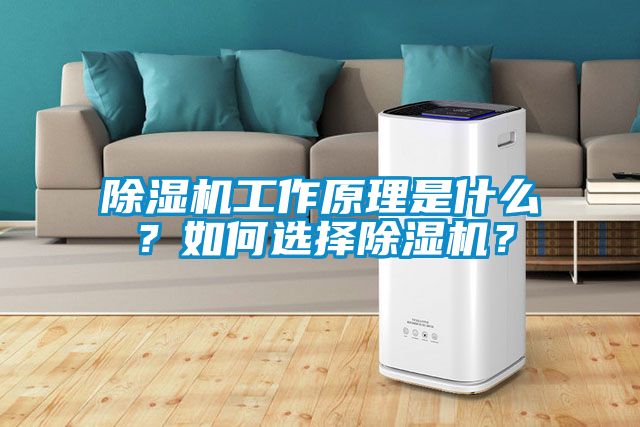 除濕機(jī)工作原理是什么?如何選擇除濕機(jī)?
