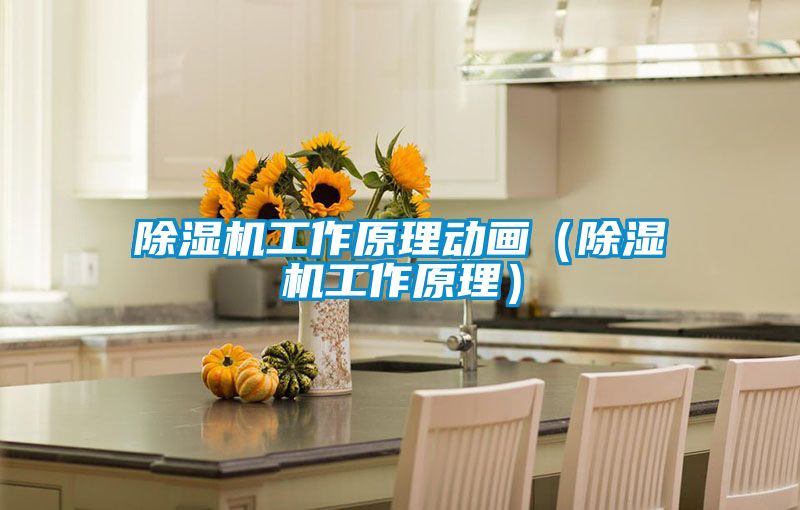 除濕機工作原理動畫(除濕機工作原理)