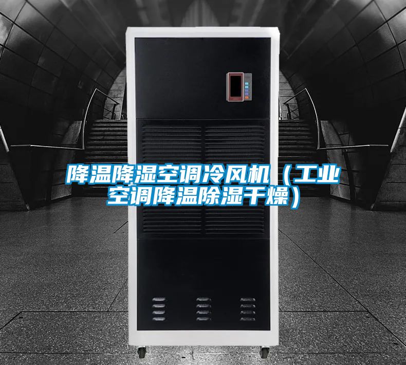 降溫降濕空調(diào)冷風(fēng)機(jī)(工業(yè)空調(diào)降溫除濕干燥)