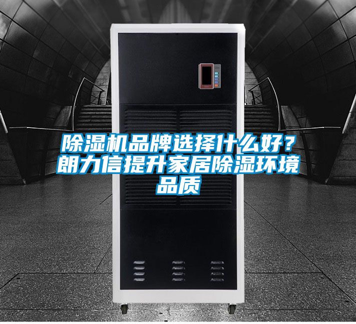 除濕機品牌選擇什么好？朗力信提升家居除濕環境品質