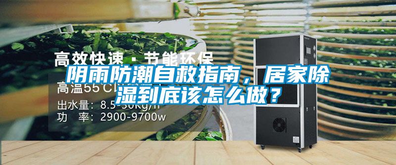 陰雨防潮自救指南，居家除濕到底該怎么做？