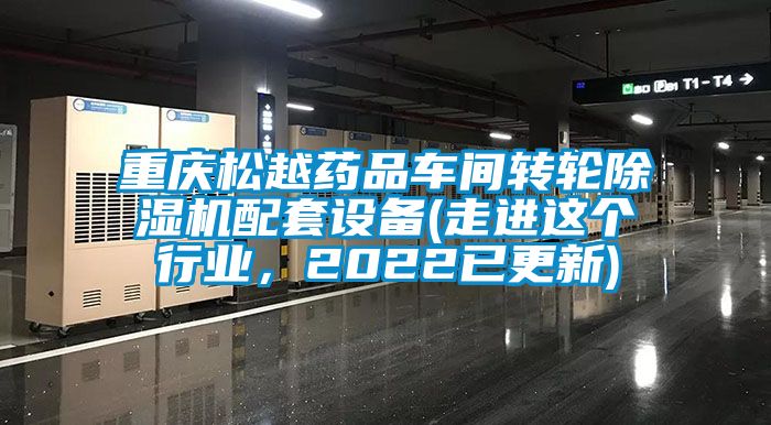 重慶松越藥品車間轉輪除濕機配套設備(走進這個行業,2022已更新)