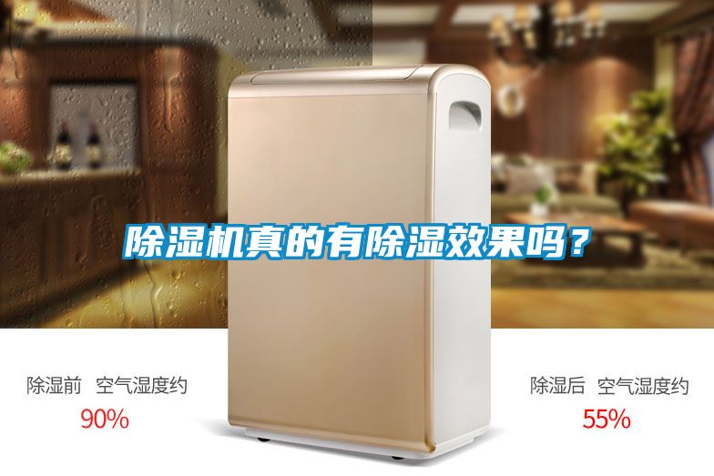 除濕機(jī)真的有除濕效果嗎?