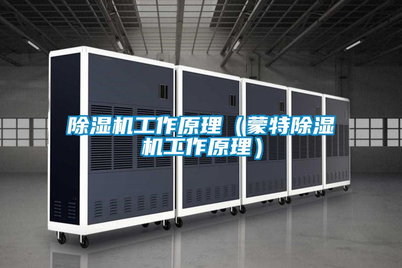 除濕機(jī)工作原理(蒙特除濕機(jī)工作原理)