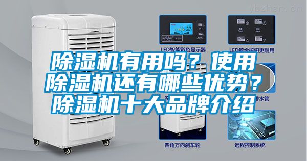 除濕機有用嗎?使用除濕機還有哪些優勢?除濕機十大品牌介紹