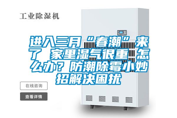 進入三月“春潮”來了 家里濕氣很重 怎么辦?防潮除霉小妙招解決困擾