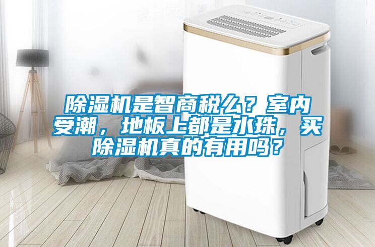 除濕機是智商稅么？室內受潮，地板上都是水珠，買除濕機真的有用嗎？