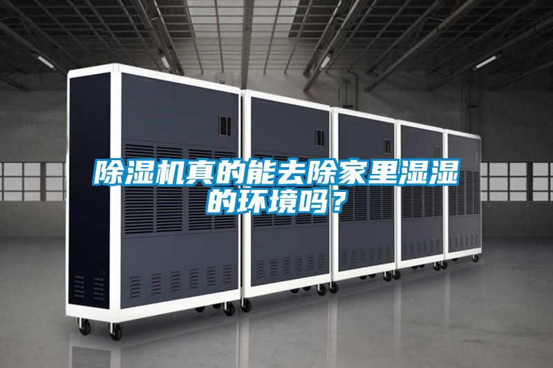 除濕機(jī)真的能去除家里濕濕的環(huán)境嗎?