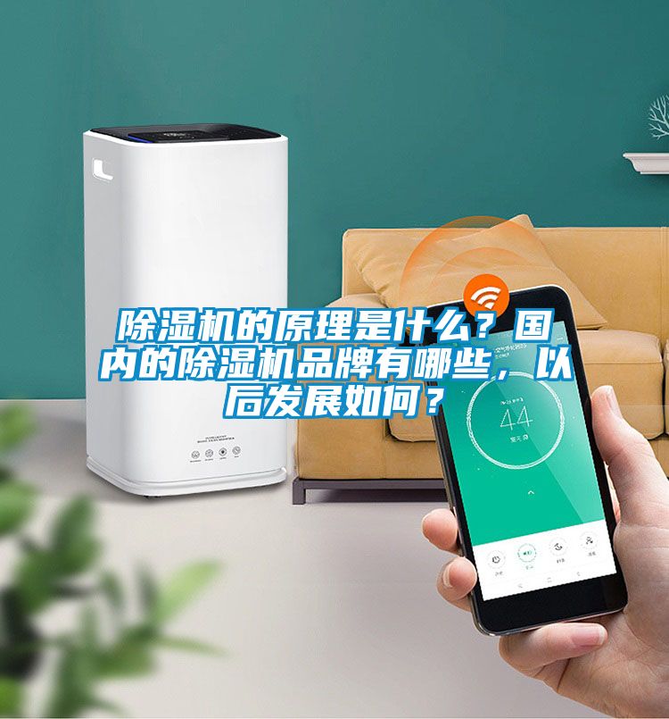 除濕機(jī)的原理是什么?國內(nèi)的除濕機(jī)品牌有哪些,以后發(fā)展如何?