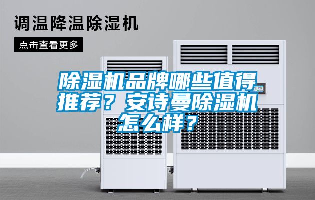除濕機品牌哪些值得推薦?安詩曼除濕機怎么樣?