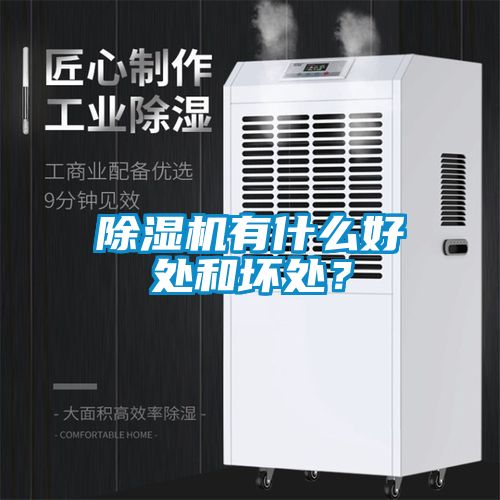 除濕機有什么好處和壞處?
