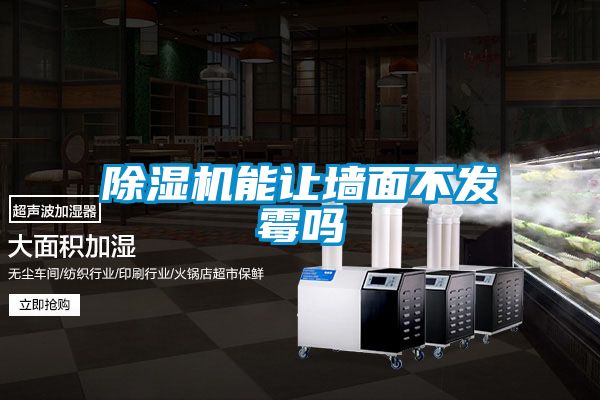 除濕機能讓墻面不發霉嗎