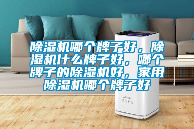 除濕機哪個牌子好,除濕機什么牌子好,哪個牌子的除濕機好,家用除濕機哪個牌子好