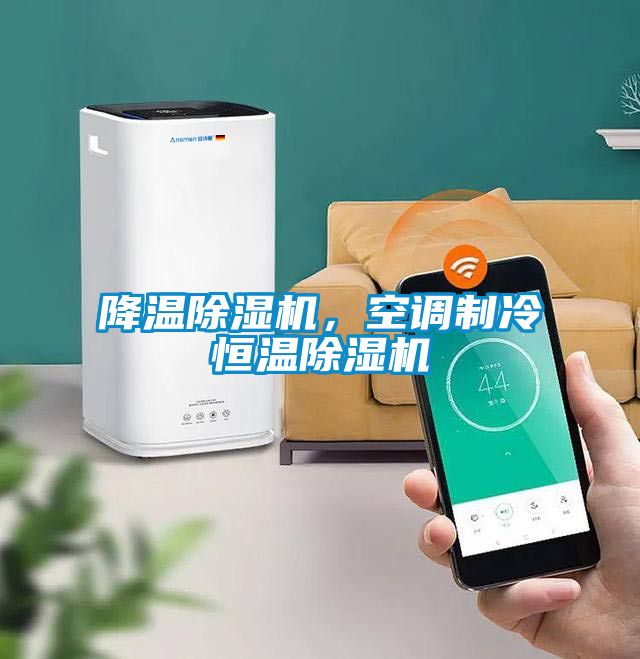 降溫除濕機(jī),空調(diào)制冷恒溫除濕機(jī)