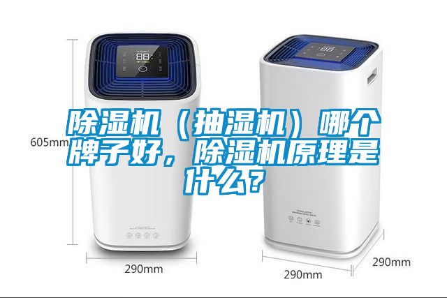 除濕機（抽濕機）哪個牌子好，除濕機原理是什么？