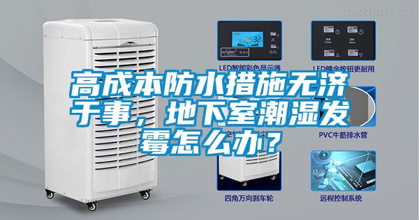 高成本防水措施無濟于事，地下室潮濕發霉怎么辦？