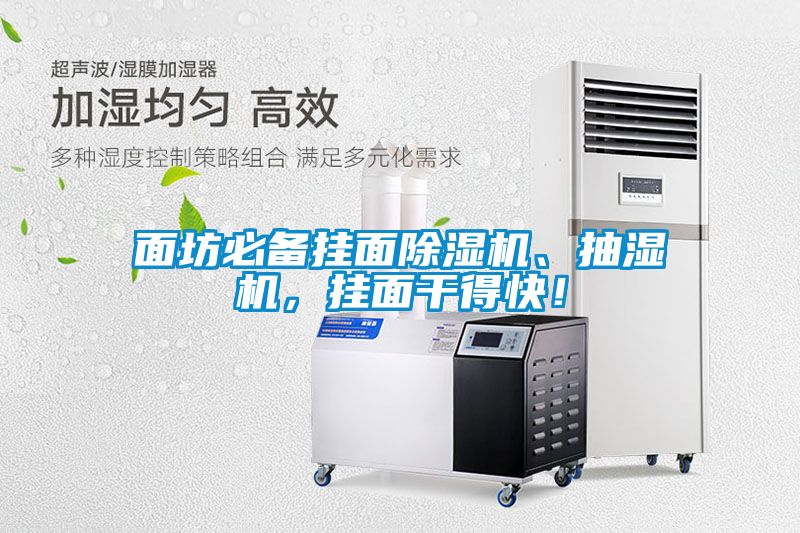 面坊必備掛面除濕機、抽濕機，掛面干得快！