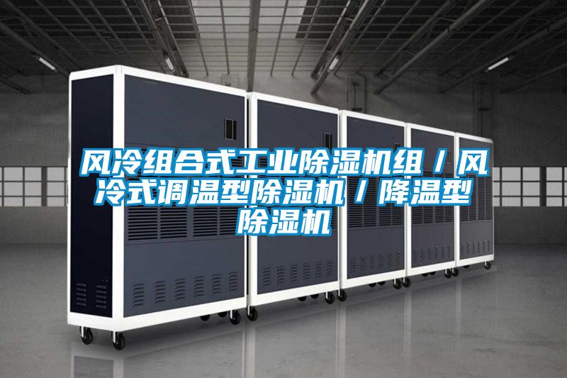 風冷組合式工業除濕機組／風冷式調溫型除濕機／降溫型除濕機