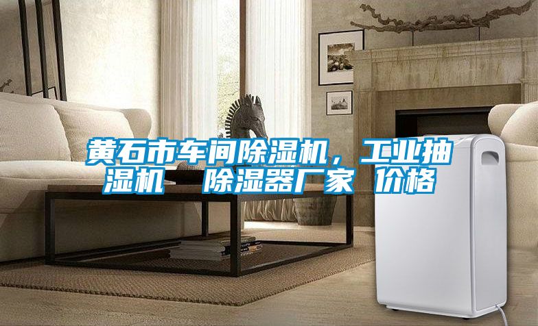 黃石市車間除濕機，工業抽濕機  除濕器廠家 價格