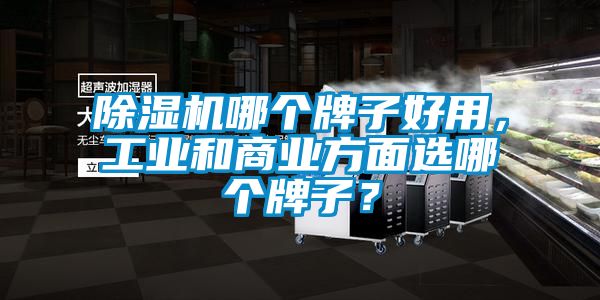 除濕機哪個牌子好用,工業和商業方面選哪個牌子?