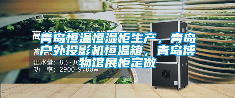 青島恒溫恒濕柜生產，青島戶外投影機恒溫箱，青島博物館展柜定做