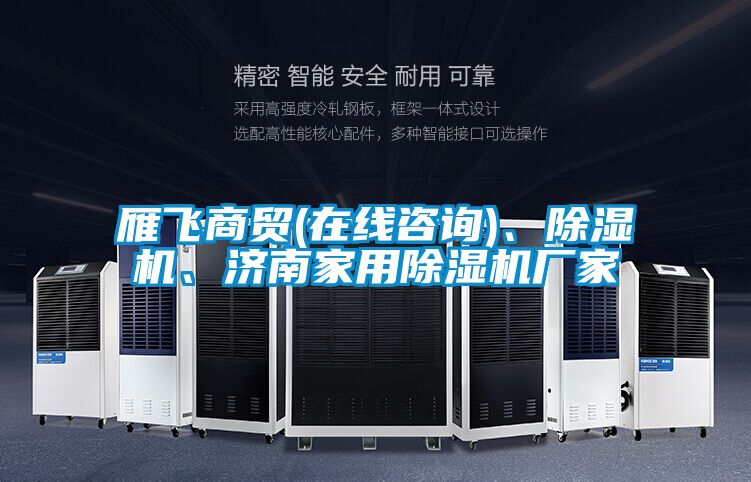 雁飛商貿(mào)(在線咨詢)、除濕機、濟南家用除濕機廠家
