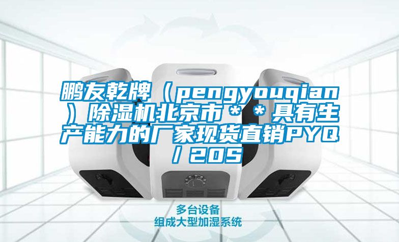 鵬友乾牌(pengyouqian)除濕機北京市**具有生產能力的廠家現貨直銷PYQ/20S
