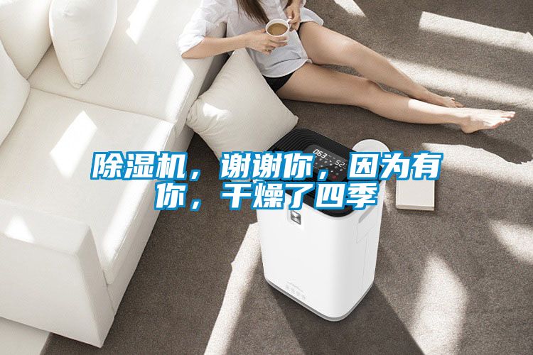 除濕機(jī)，謝謝你，因?yàn)橛心悖稍锪怂募?></div>
								<div   id=