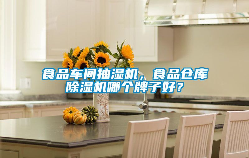 食品車間抽濕機，食品倉庫除濕機哪個牌子好？
