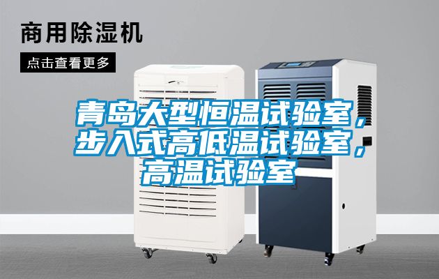 青島大型恒溫試驗室,步入式高低溫試驗室,高溫試驗室