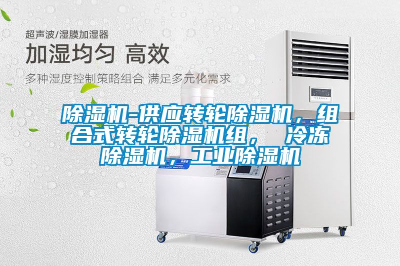 除濕機-供應轉(zhuǎn)輪除濕機,組合式轉(zhuǎn)輪除濕機組, 冷凍除濕機,工業(yè)除濕機