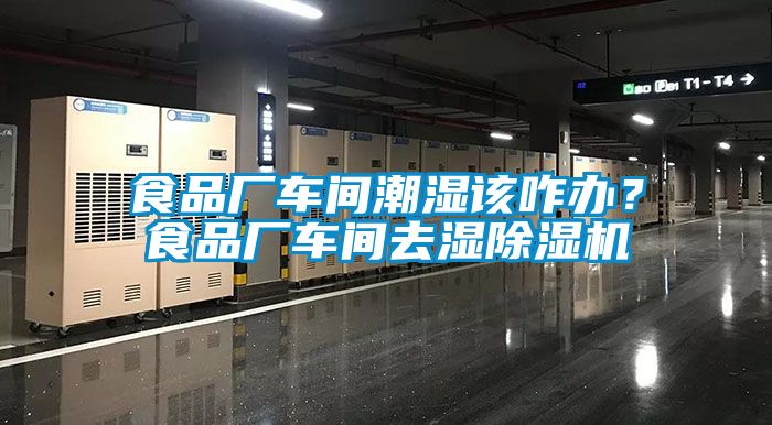 食品廠車間潮濕該咋辦?食品廠車間去濕除濕機