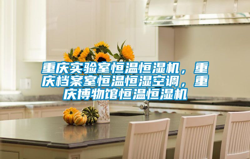 重慶實驗室恒溫恒濕機，重慶檔案室恒溫恒濕空調，重慶博物館恒溫恒濕機