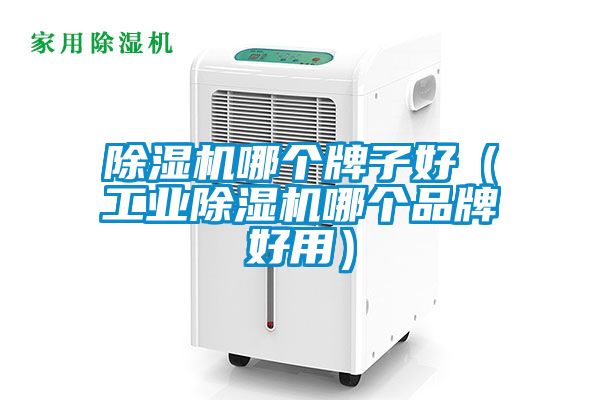 除濕機哪個牌子好(工業除濕機哪個品牌好用)