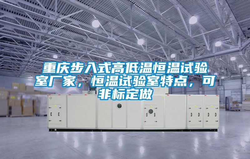 重慶步入式高低溫恒溫試驗室廠家，恒溫試驗室特點，可非標定做