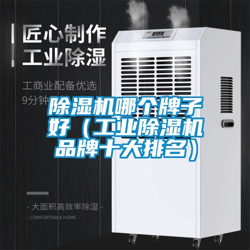 除濕機哪個牌子好(工業除濕機品牌十大排名)