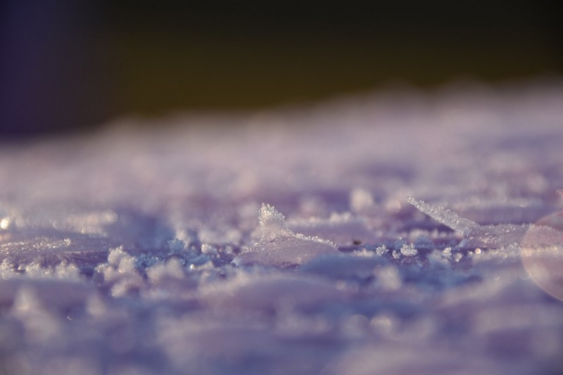 你知道除濕機為什么需要自動化霜嗎？ 冷凍式除濕機化霜功能