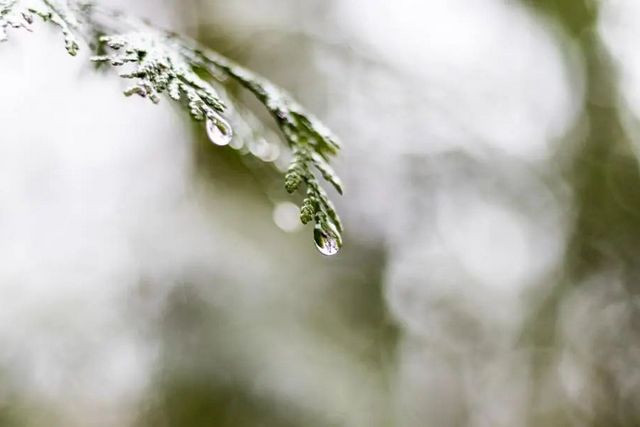 空氣濕度大帶來的危害有哪些,你知道嗎?