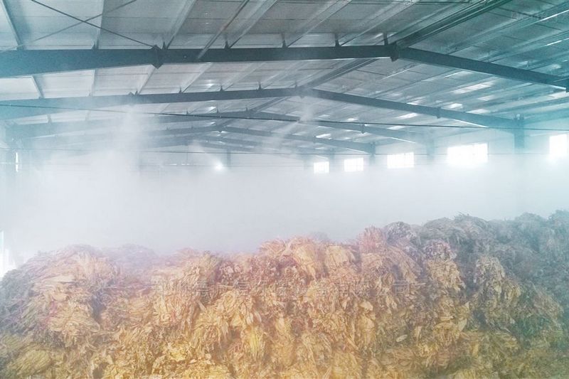 提升煙葉加工質(zhì)量,高效回潮很重要 煙葉除濕機(jī)
