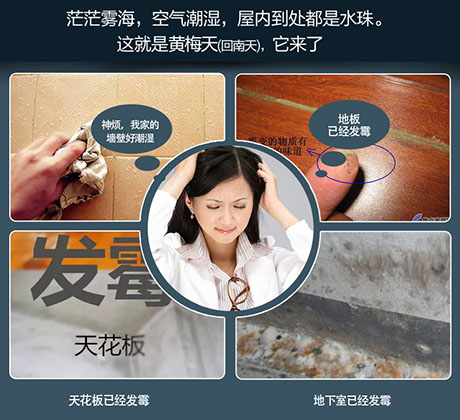 雨季濕氣重如何挑選合適除濕機尺寸